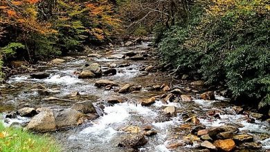 Great Smoky Mountains