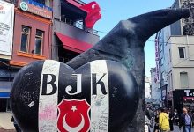 Beşiktaş Köyiçi